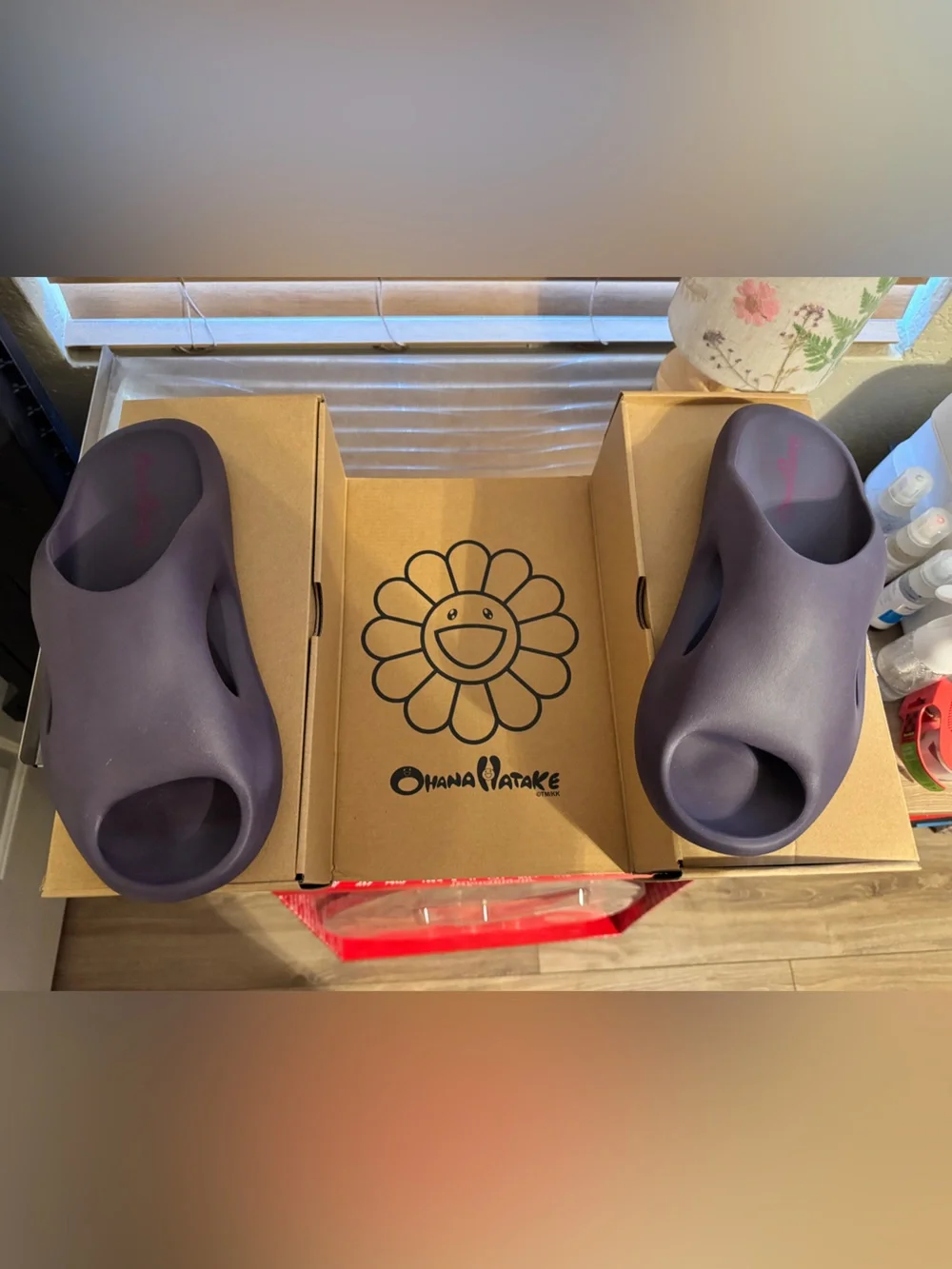 Ohana Hunake with artis Tukashi Murakami slides in Grape M 13